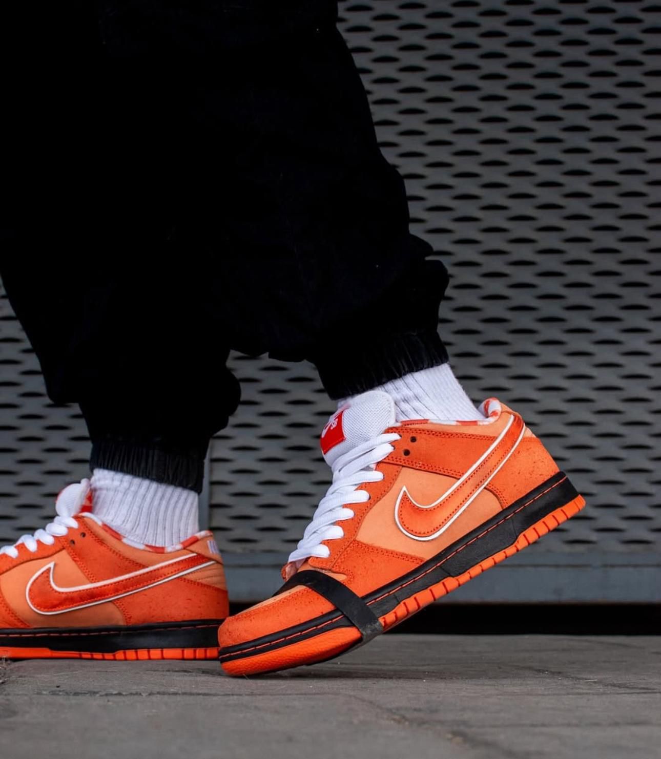 Nike SB Dunk Low Premium Casual Sneakers for Men